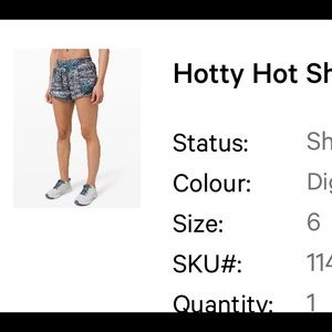 NWT Hotty hot shorts 4” inseam long 6
